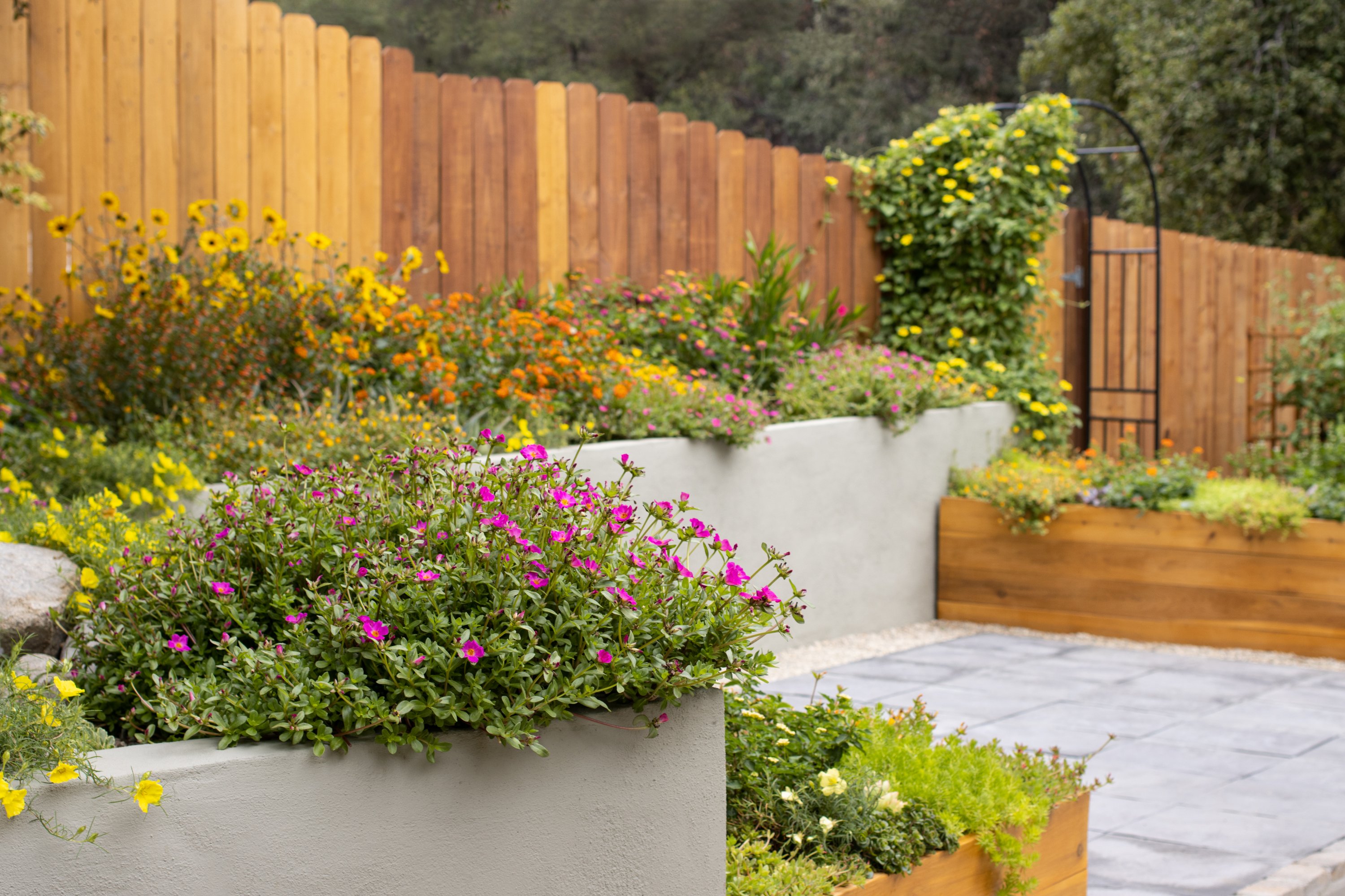 drought-resistant landscaping