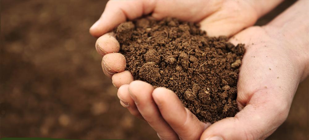 Soil: Love the one you're with | Proven Winners