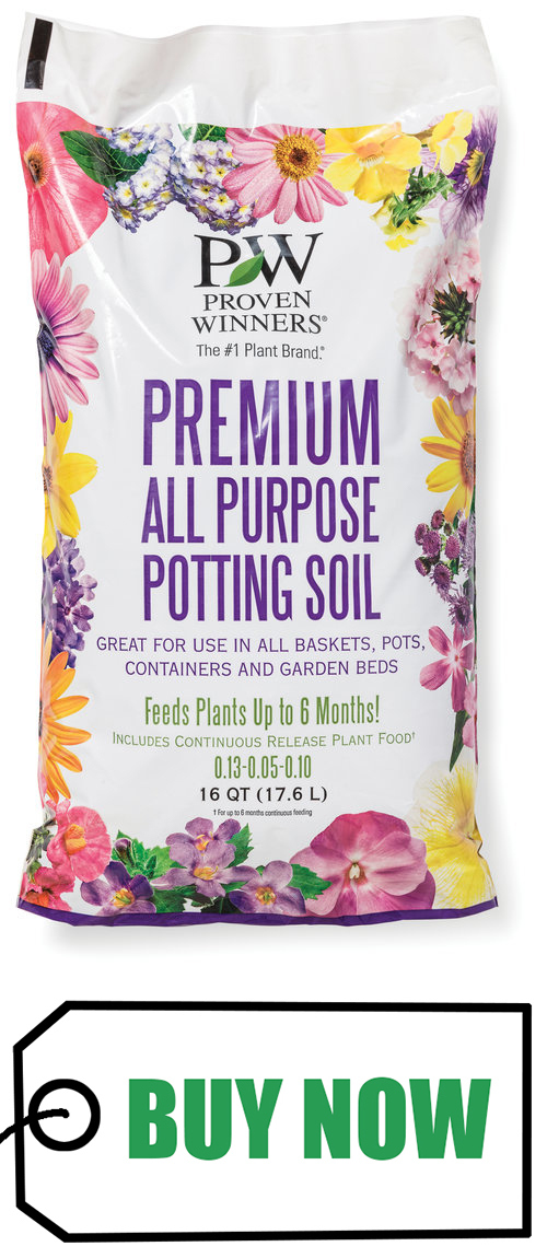 What Is The Best Potting Compost For Indoor Plants?