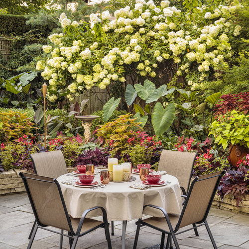 shady_patio_garden_425.jpg