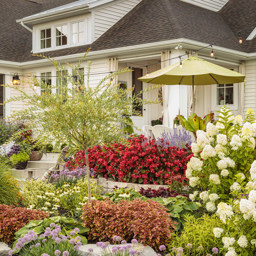 a garden with flowers and a house