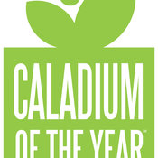 Caladium of the year logo