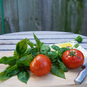 Amazel Basil® and Tempting Tomatoes™ 'Garden Treasure'
