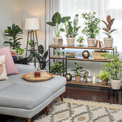 leafjoy_living_room_42-3.jpg