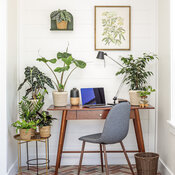 leafjoy_office_05.jpg