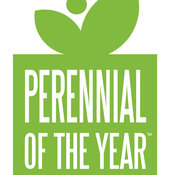 Perennial of the year logo