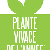 plante_vivace_de_lannee