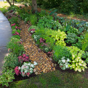 rain_garden_093.jpg