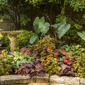 shady_patio_garden_113.jpg