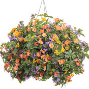 sunshine_state_hanging_basket.jpg