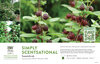 Calycanthus Simply Scentsational® (Sweetshrub) 11x7" Variety Benchcard