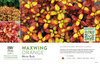 Coprosma Waxwing® Orange (Mirror Bush) 11x7" Variety Benchcard