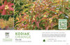 Diervilla Kodiak® Orange (Diervilla) 11x7" Variety Benchcard