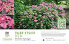 Hydrangea Tuff Stuff™ Red (Mountain Hydrangea) 11x7" Variety Benchcard