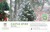 Ilex Castle Spire® (Blue Holly) 11x7" Variety Benchcard