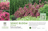 Weigela Sonic Bloom® Pink (Reblooming Weigela) 11x7" Variety Benchcard