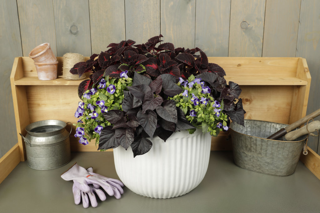 27 Pleat Planter - Midnight Color