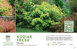 Diervilla Kodiak Fresh® 11x7" Variety Benchcard