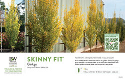 Ginkgo Skinny Fit™ 11x7" Variety Benchcard