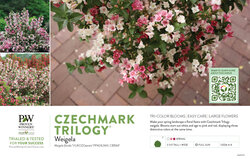 Weigela Czechmark Trilogy® (Weigela) 11x7" Variety Benchcard