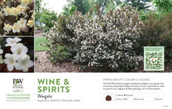 Weigela Wine & Spirits® 11x7" Variety Benchcard