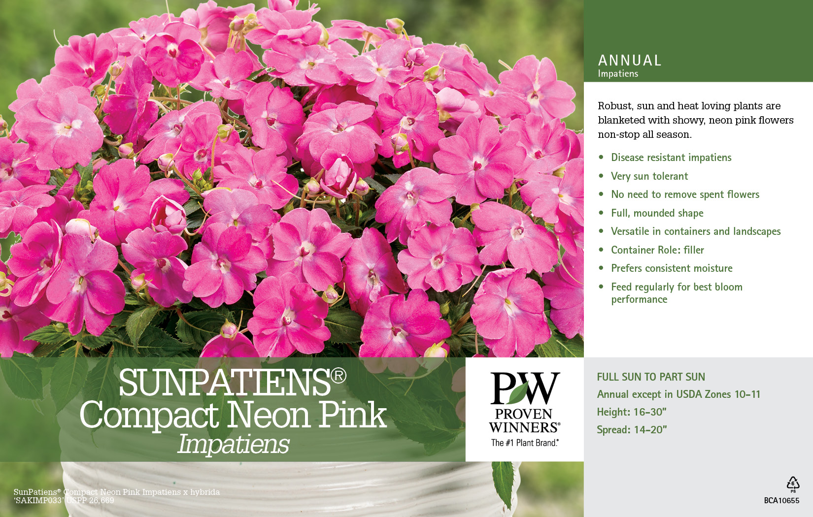 Impatiens SunPatiens® Compact Neon Pink 11x7