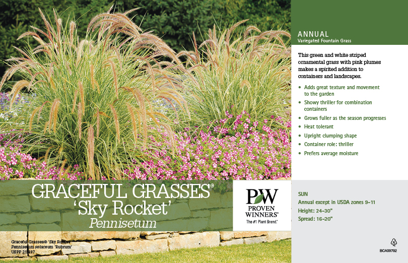 Graceful Grasses®