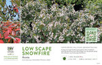 Aronia Low Scape Snowfire® (Chokeberry) 11x7" Variety Benchcard