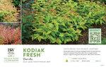 Diervilla Kodiak Fresh® 11x7" Variety Benchcard