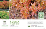 Diervilla Kodiak® Red 2.0 11x7" Variety Benchcard