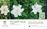 Gardenia Pillow Talk® 11x7" Variety Benchcard