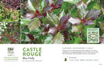 Ilex Castle Rouge™ (Blue Holly) 11x7" Variety Benchcard