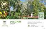 Malus Lollipop® (Crabapple) 11x7" Variety Benchcard