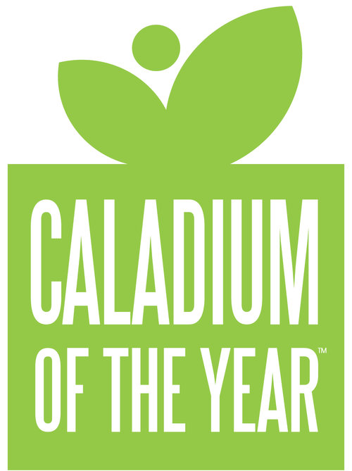 Caladium of the year logo