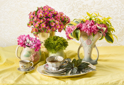 Pink and green cut flowers - Timeless Dropped July 2020