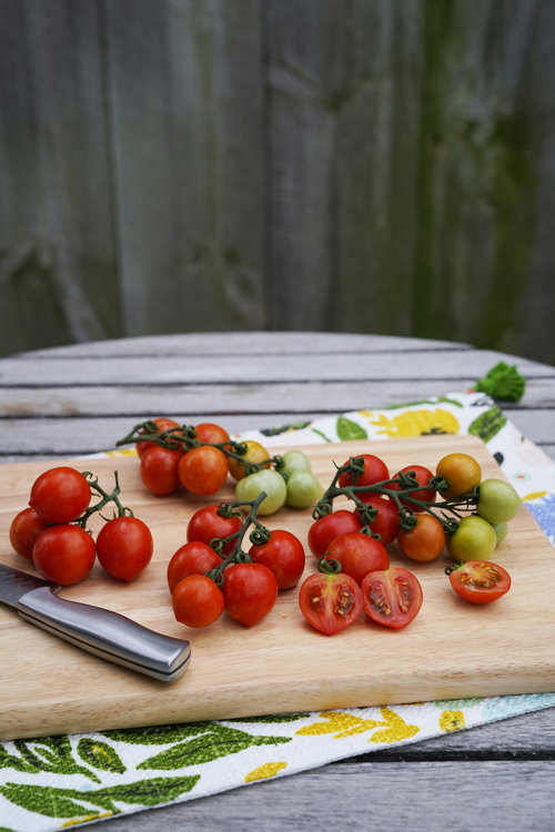 Tempting Tomatoes® Goodhearted®