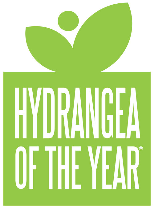 Hydrangea of the year logo