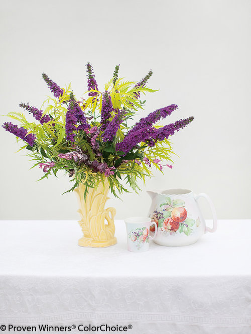 Proven Winners ColorChoice flower arrangement