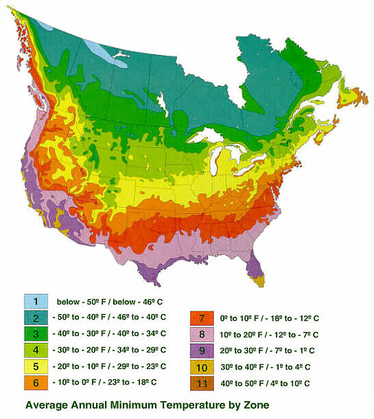 Zoning in on Hardiness | Proven Winners